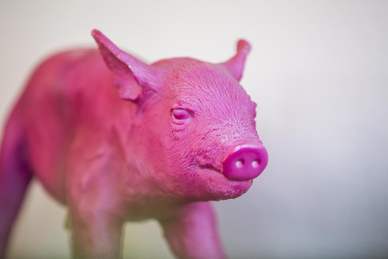 Auszeit - Fruehstueckshotel Hotel 3*