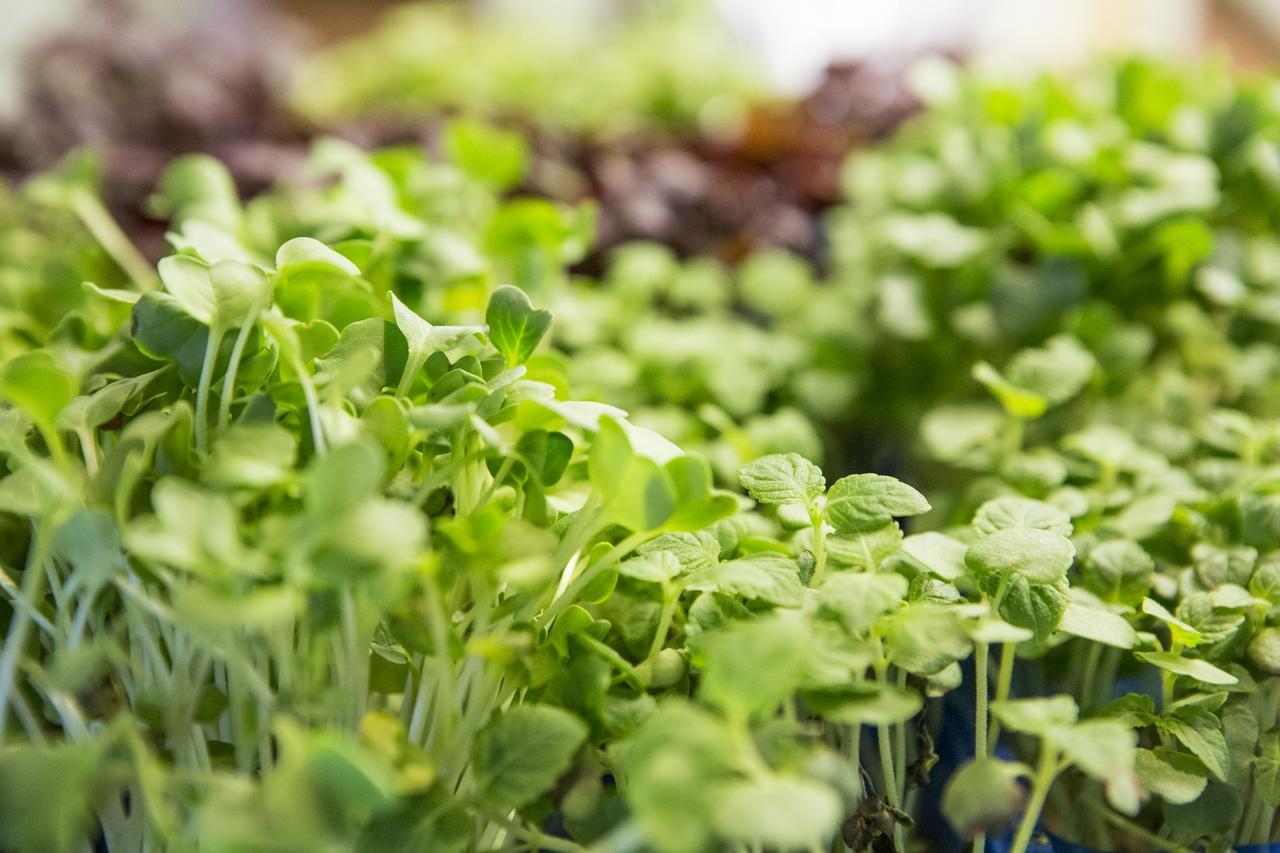 Auszeit - Fruehstueckshotel Hotel 3*